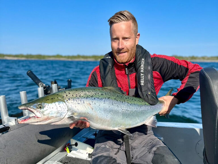 Fishing for Atlantic Salmon in Sweden: A Trolling Adventure