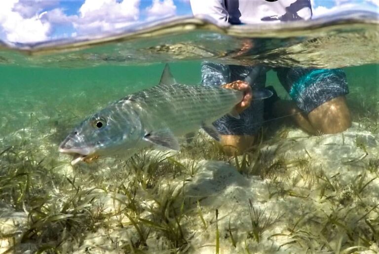 Bonefish Angling in the Florida Keys