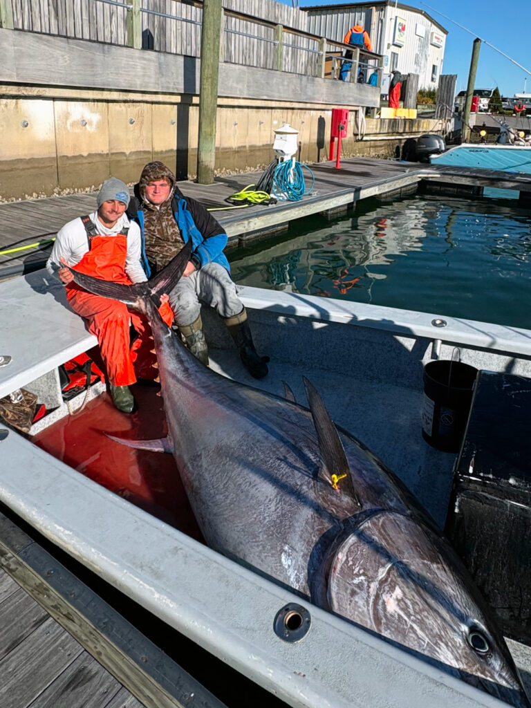 Bluefin tuna caught from a skiff off North Carolina