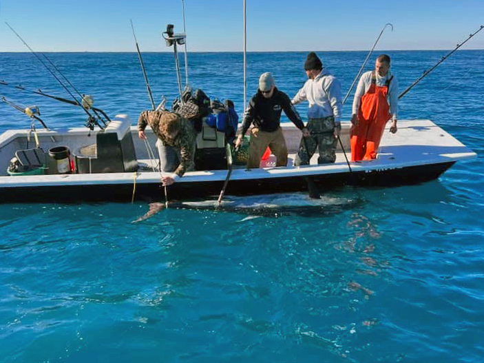 Massive Tuna Aboard a Small Boat