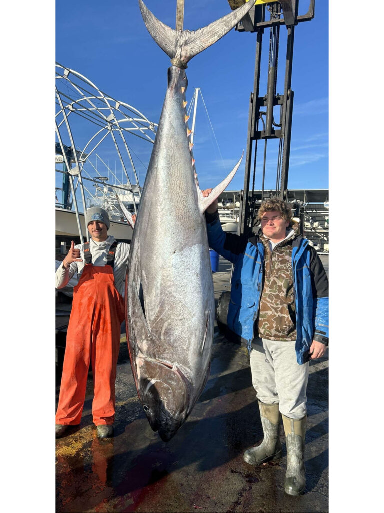 Bluefin tuna caught in shallow water off North Carolina