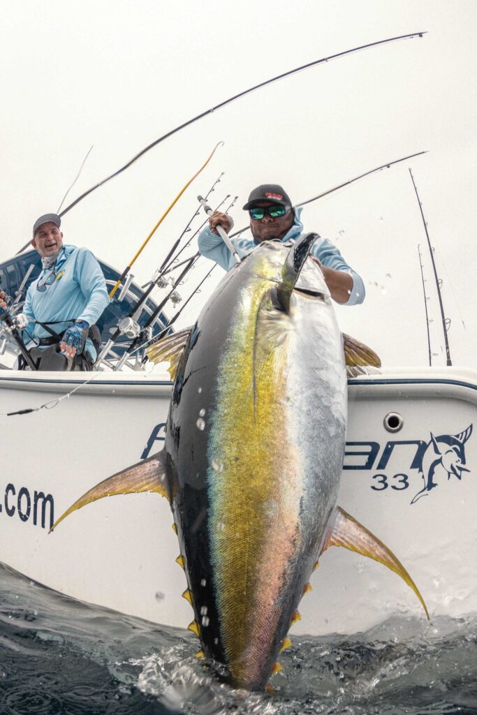 Large yellowfin being pulled on board