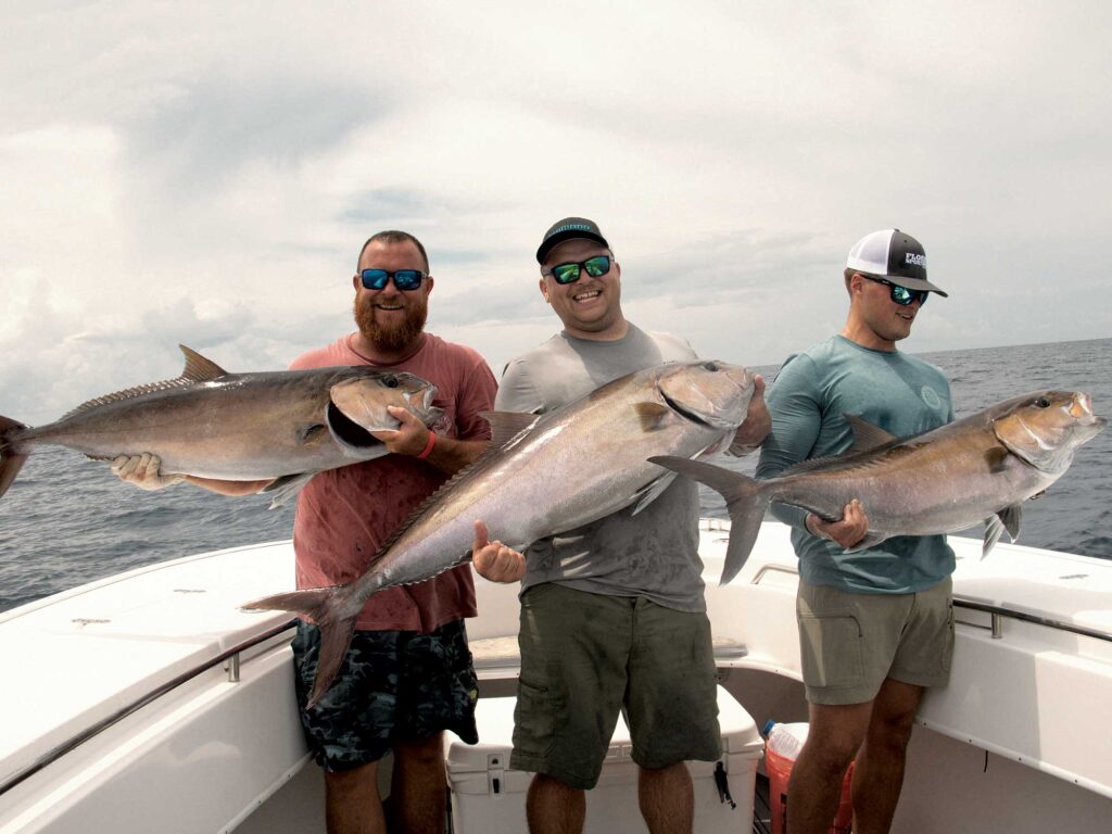 Multiple amberjack on the boat